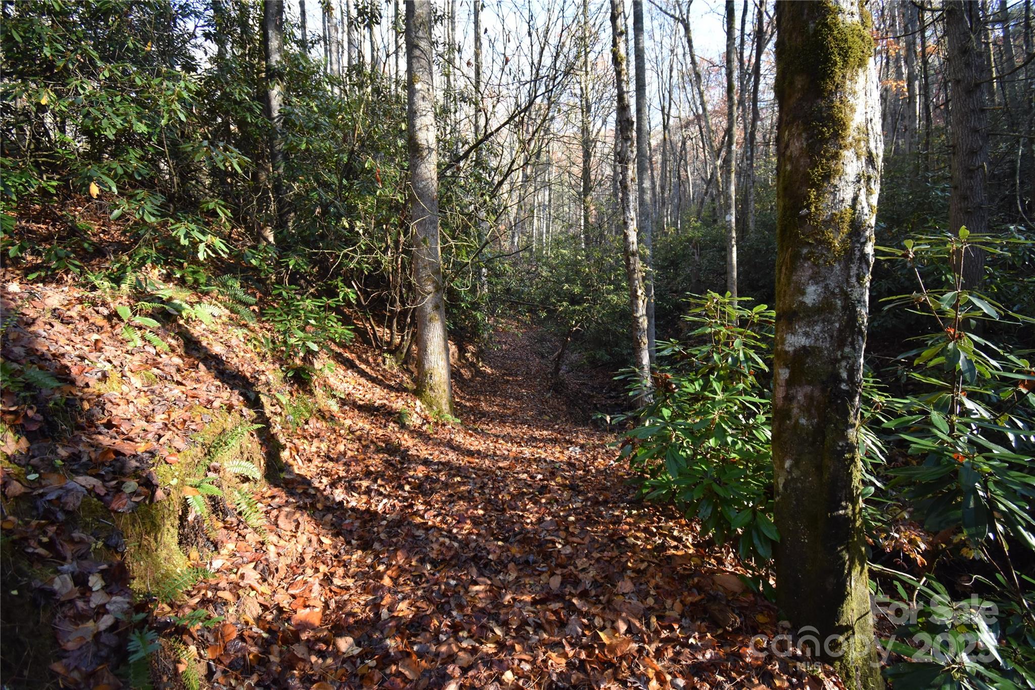 18748 Rosman Highway Sapphire NC 28774