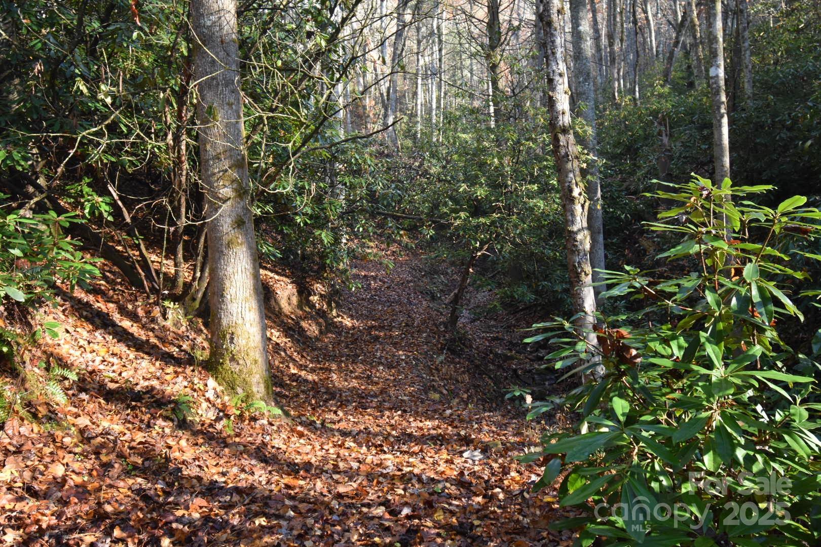 18748 Rosman Highway Sapphire NC 28774