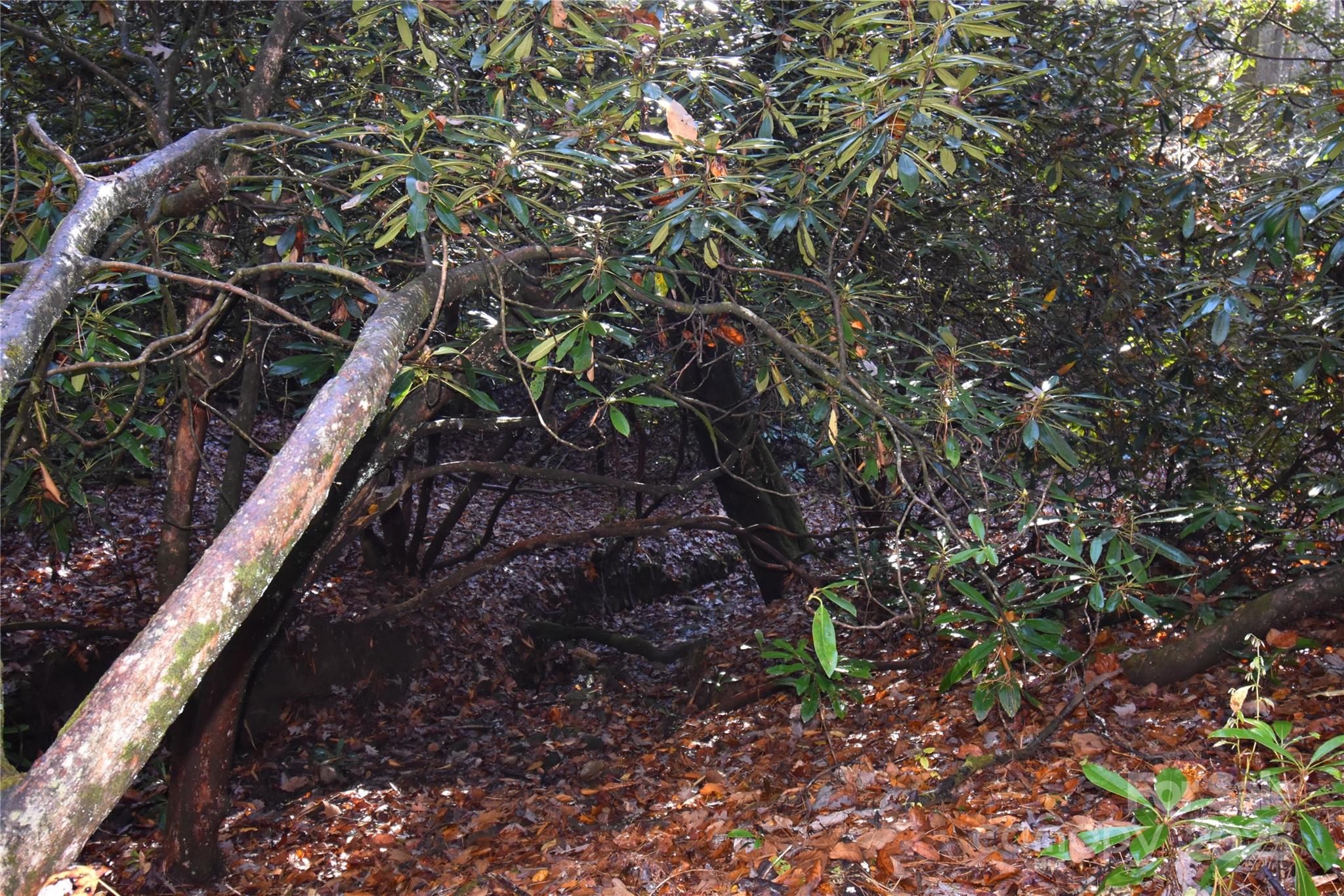 18748 Rosman Highway Sapphire NC 28774