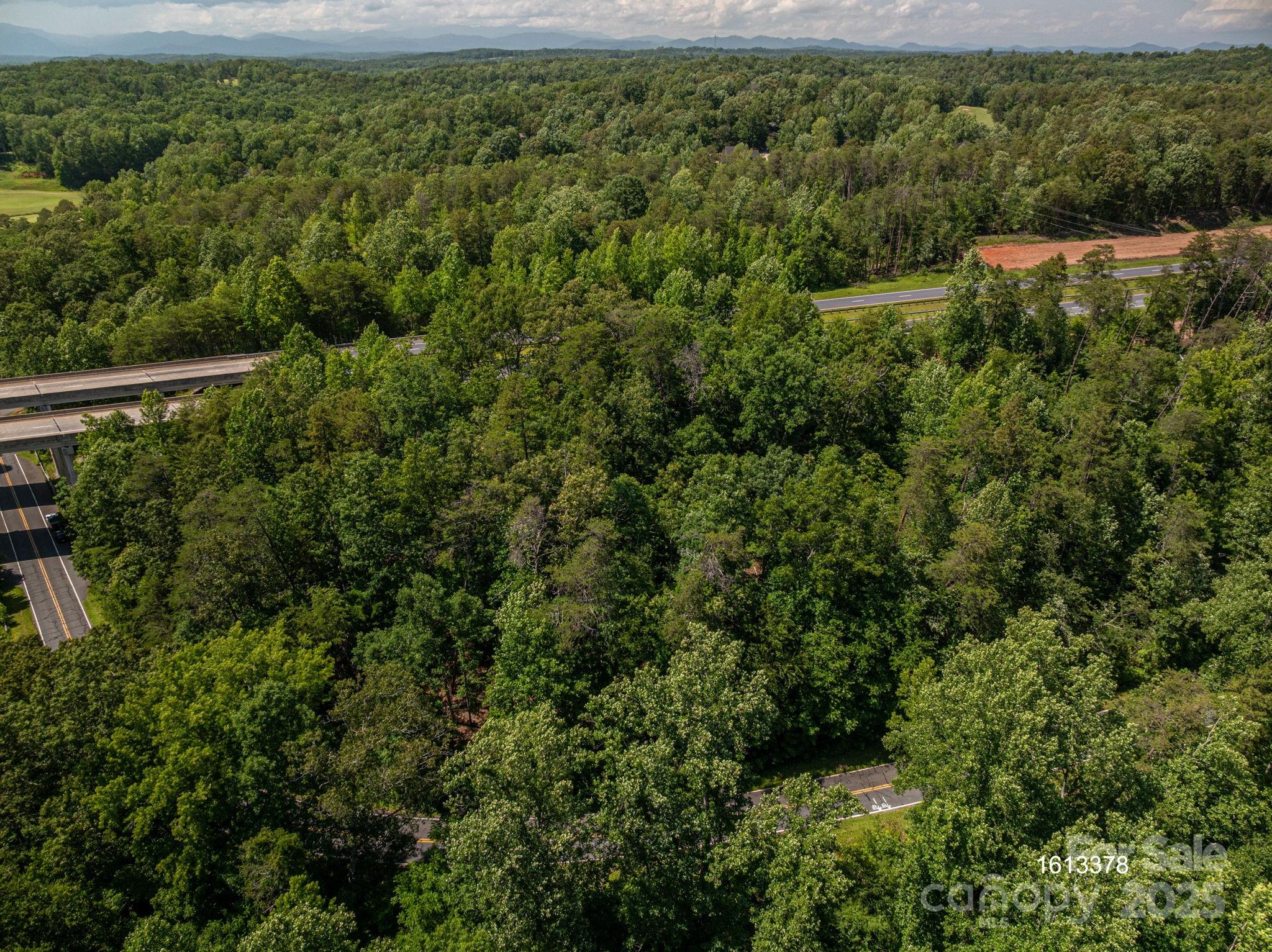 Lot #69 Cleghorn Mill Road Rutherfordton NC 28139