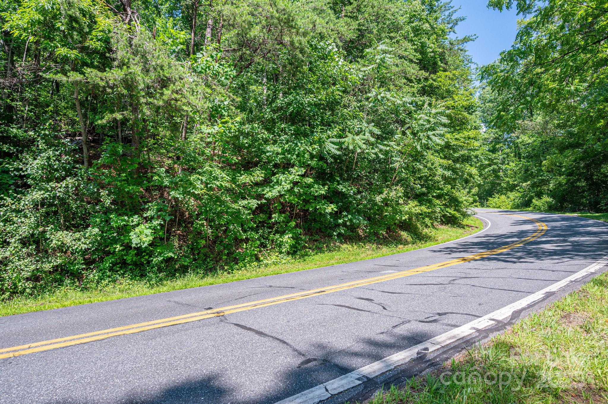 Lot #69 Cleghorn Mill Road Rutherfordton NC 28139