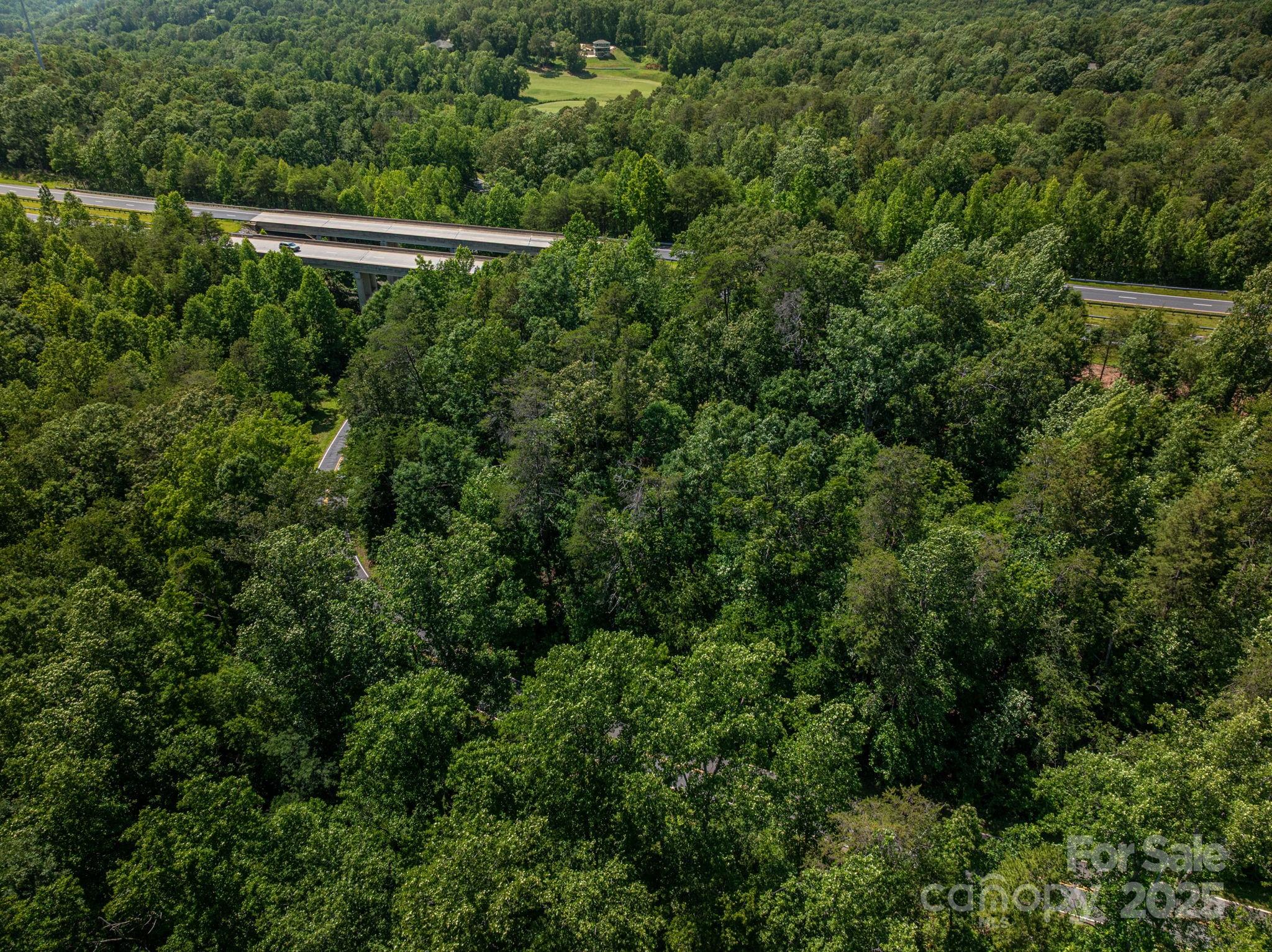 Lot #69 Cleghorn Mill Road Rutherfordton NC 28139