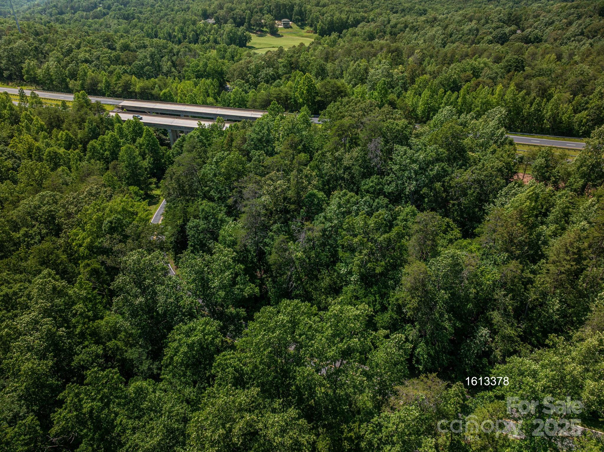 Lot #69 Cleghorn Mill Road Rutherfordton NC 28139