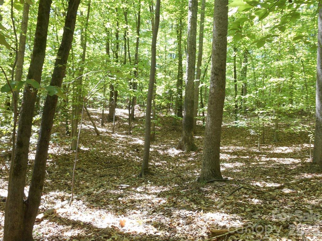 00 Tin Mine Road Lincolnton NC 28092