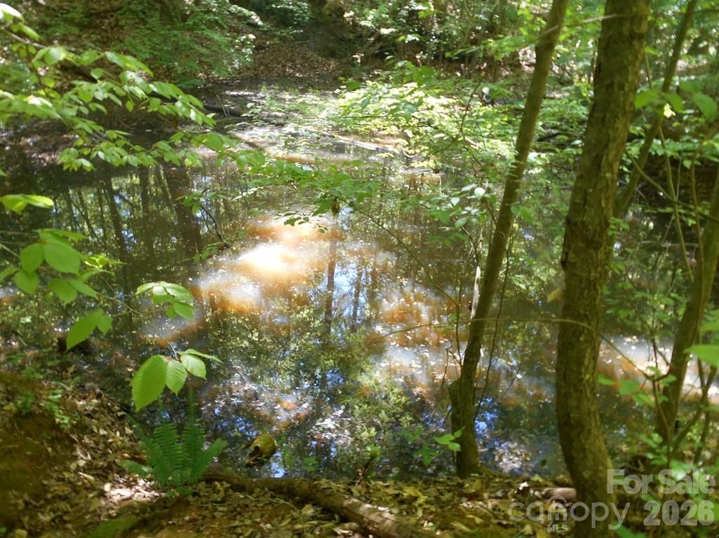 00 Tin Mine Road Lincolnton NC 28092