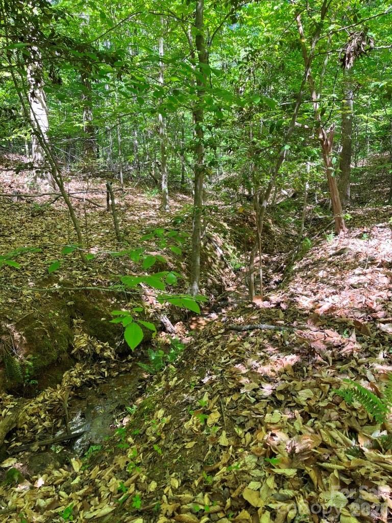 00 Tin Mine Road Lincolnton NC 28092
