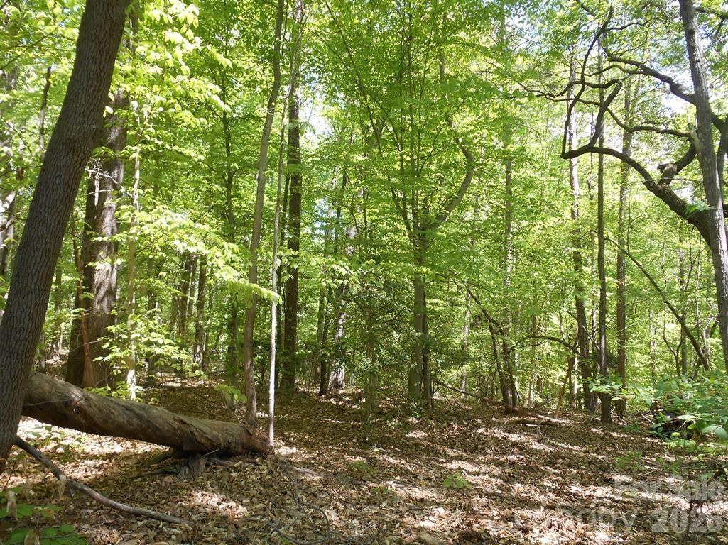 00 Tin Mine Road Lincolnton NC 28092
