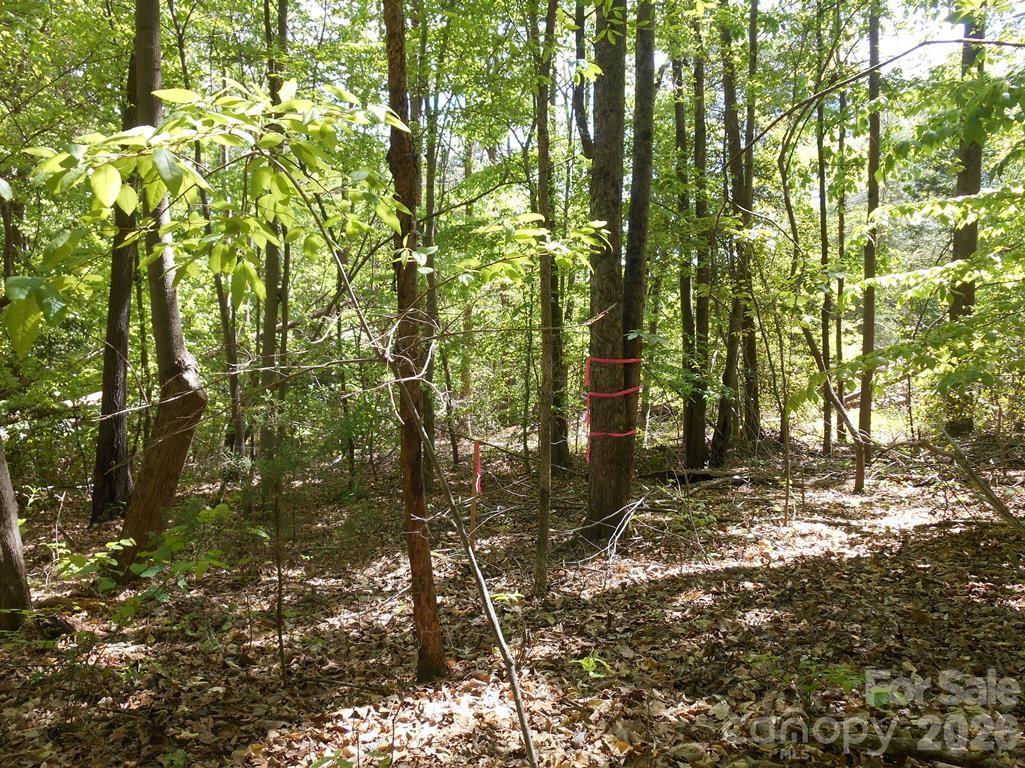 00 Tin Mine Road Lincolnton NC 28092