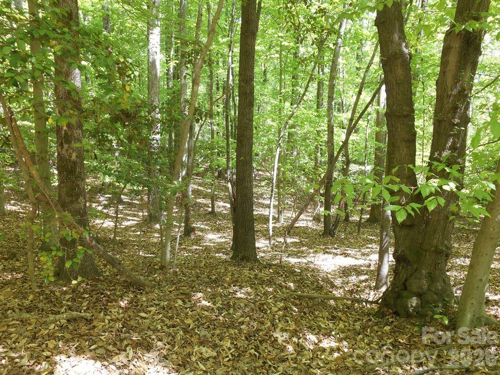 00 Tin Mine Road Lincolnton NC 28092