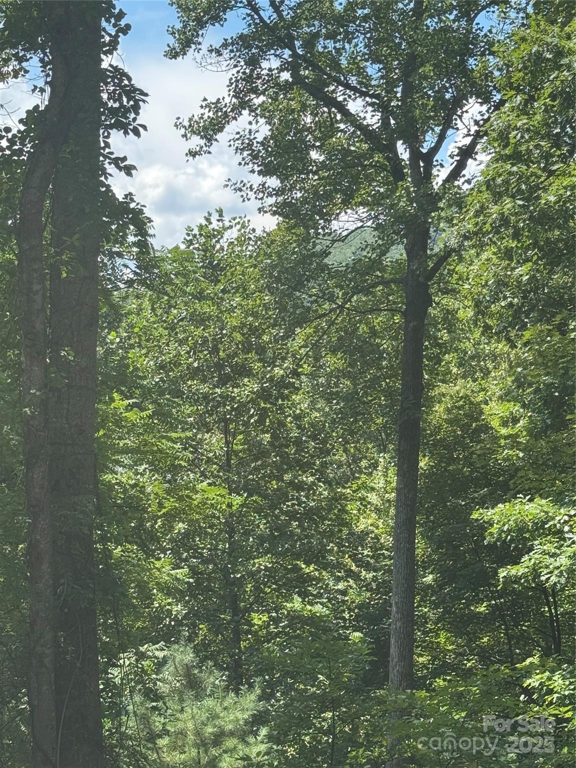 23 Red Oak Drive Mills River NC 28759