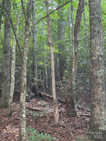 23 Red Oak Drive Mills River NC 28759