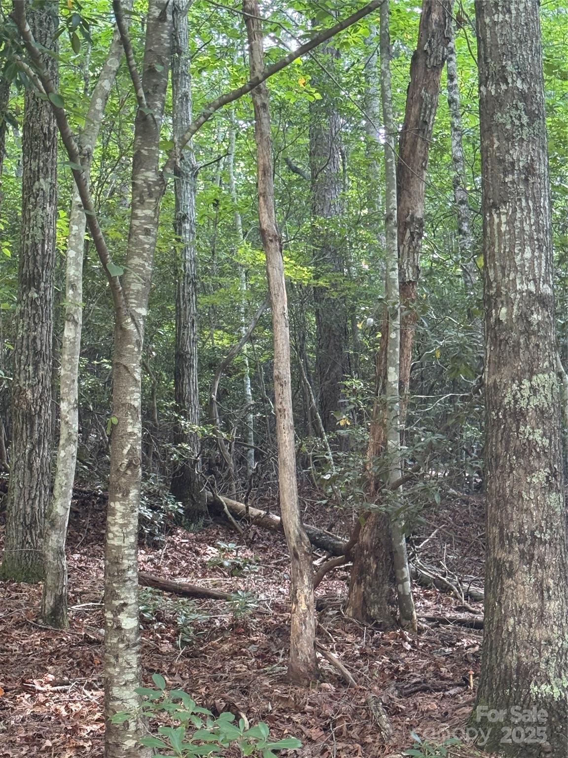 23 Red Oak Drive Mills River NC 28759