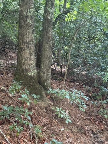 23 Red Oak Drive Mills River NC 28759