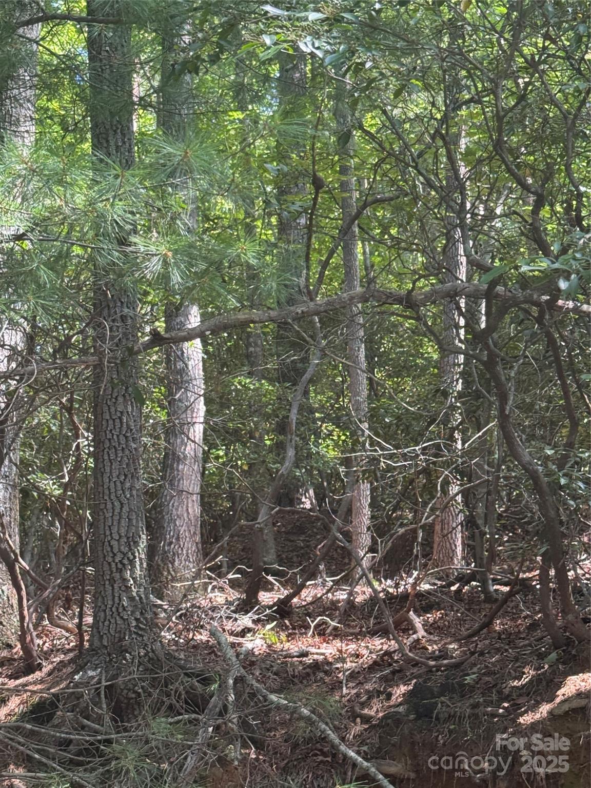 23 Red Oak Drive Mills River NC 28759