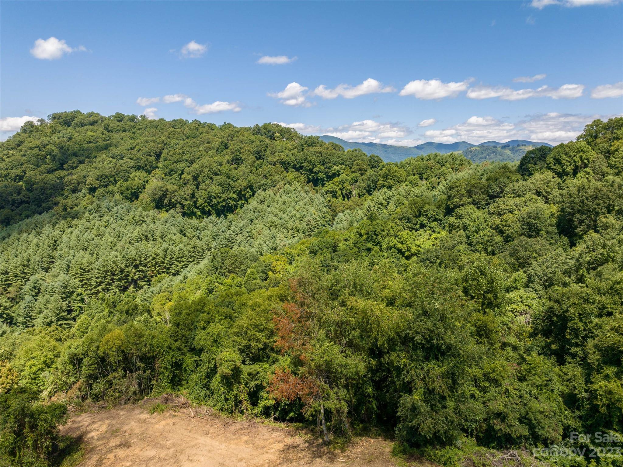 00 Crabtree Mountain Road Clyde NC 28721
