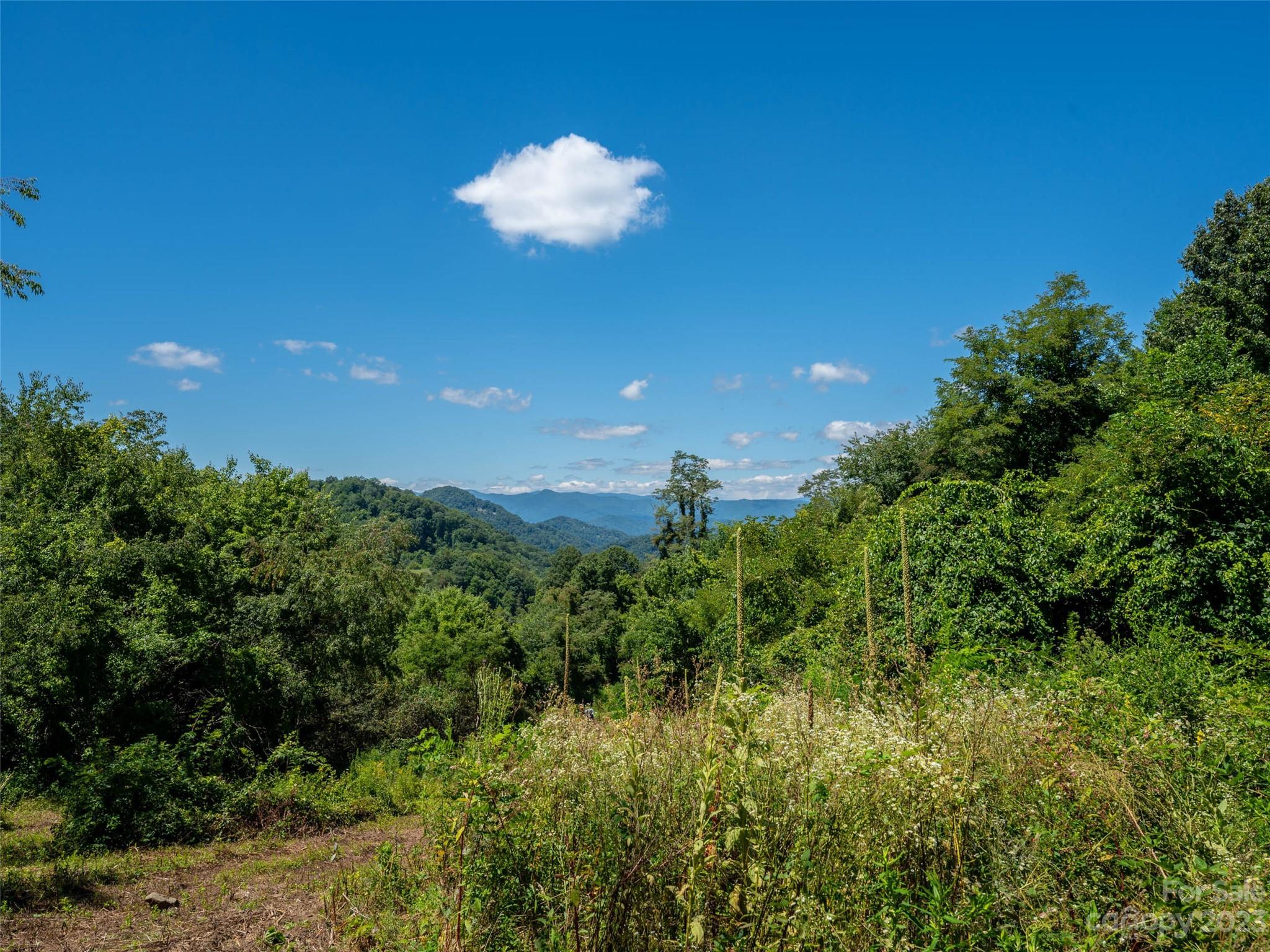 00 Crabtree Mountain Road Clyde NC 28721