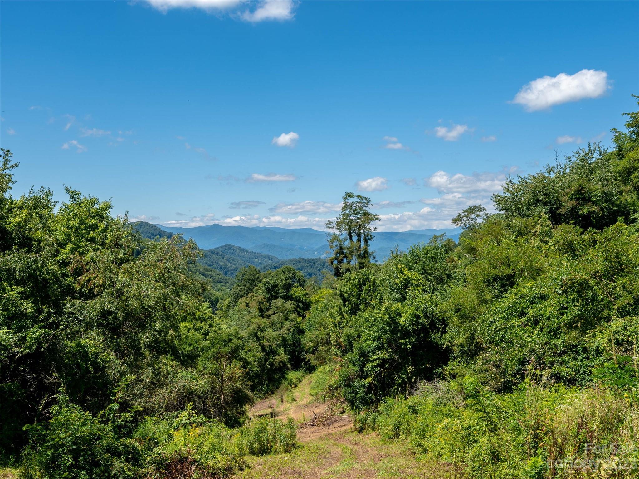 00 Crabtree Mountain Road Clyde NC 28721