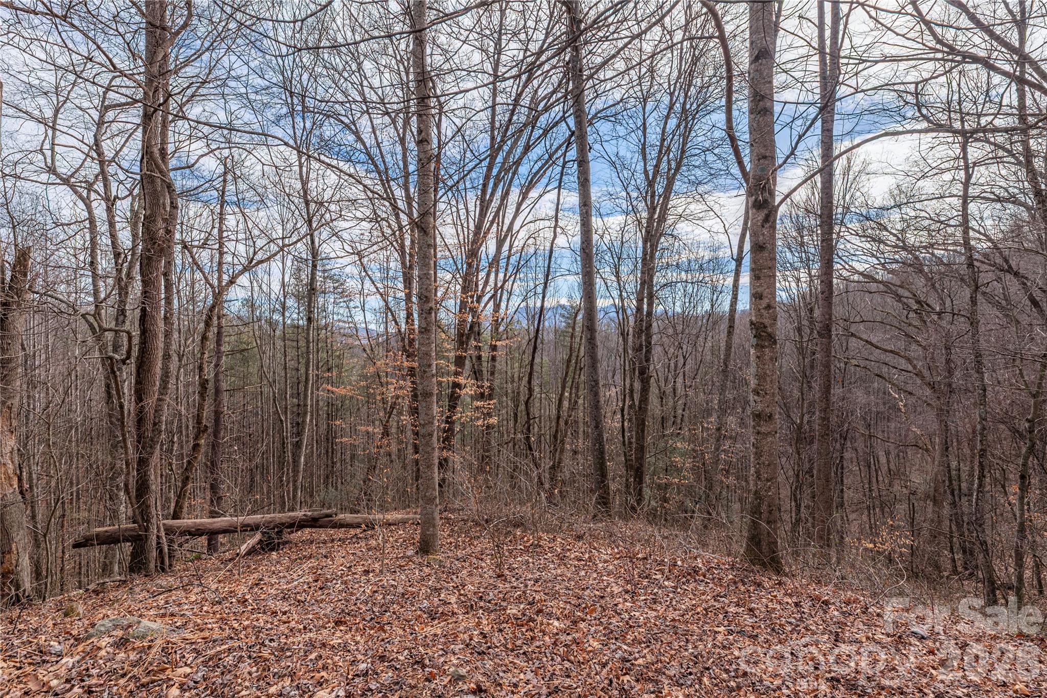 00 Point Of View Drive Waynesville NC 28785
