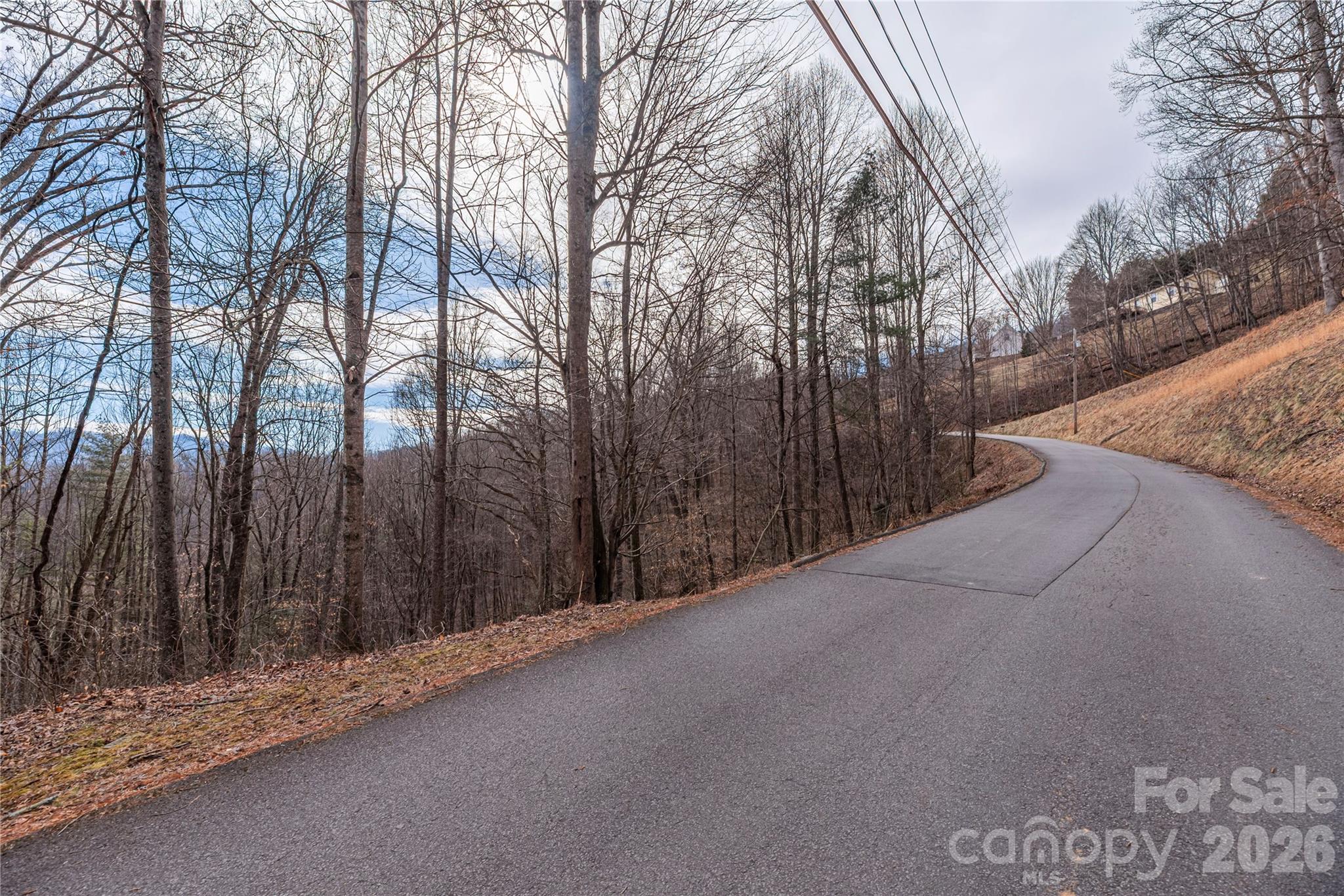 00 Point Of View Drive Waynesville NC 28785