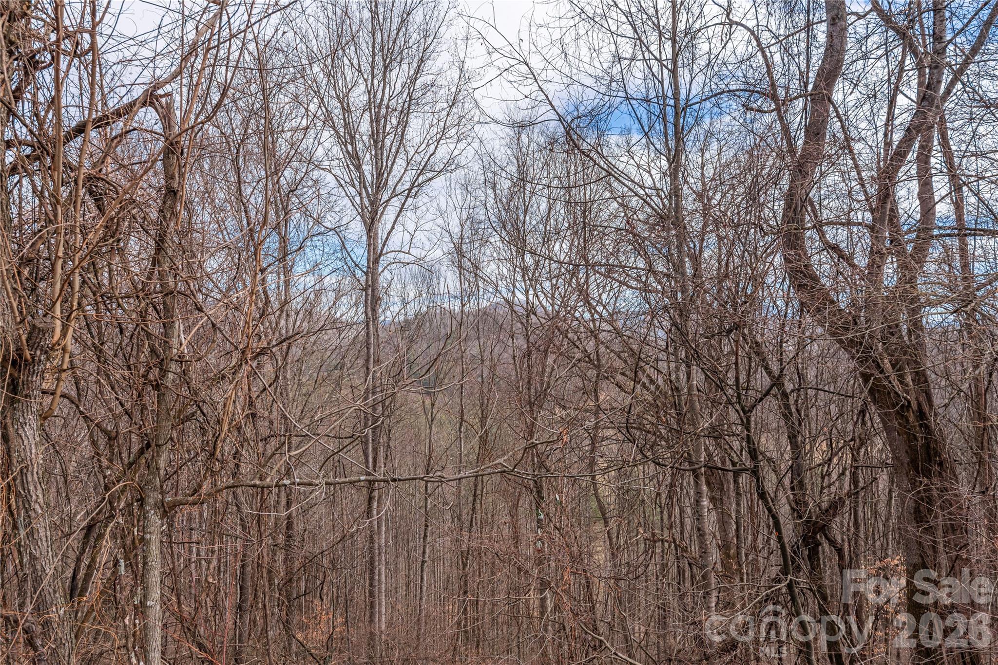 00 Point Of View Drive Waynesville NC 28785