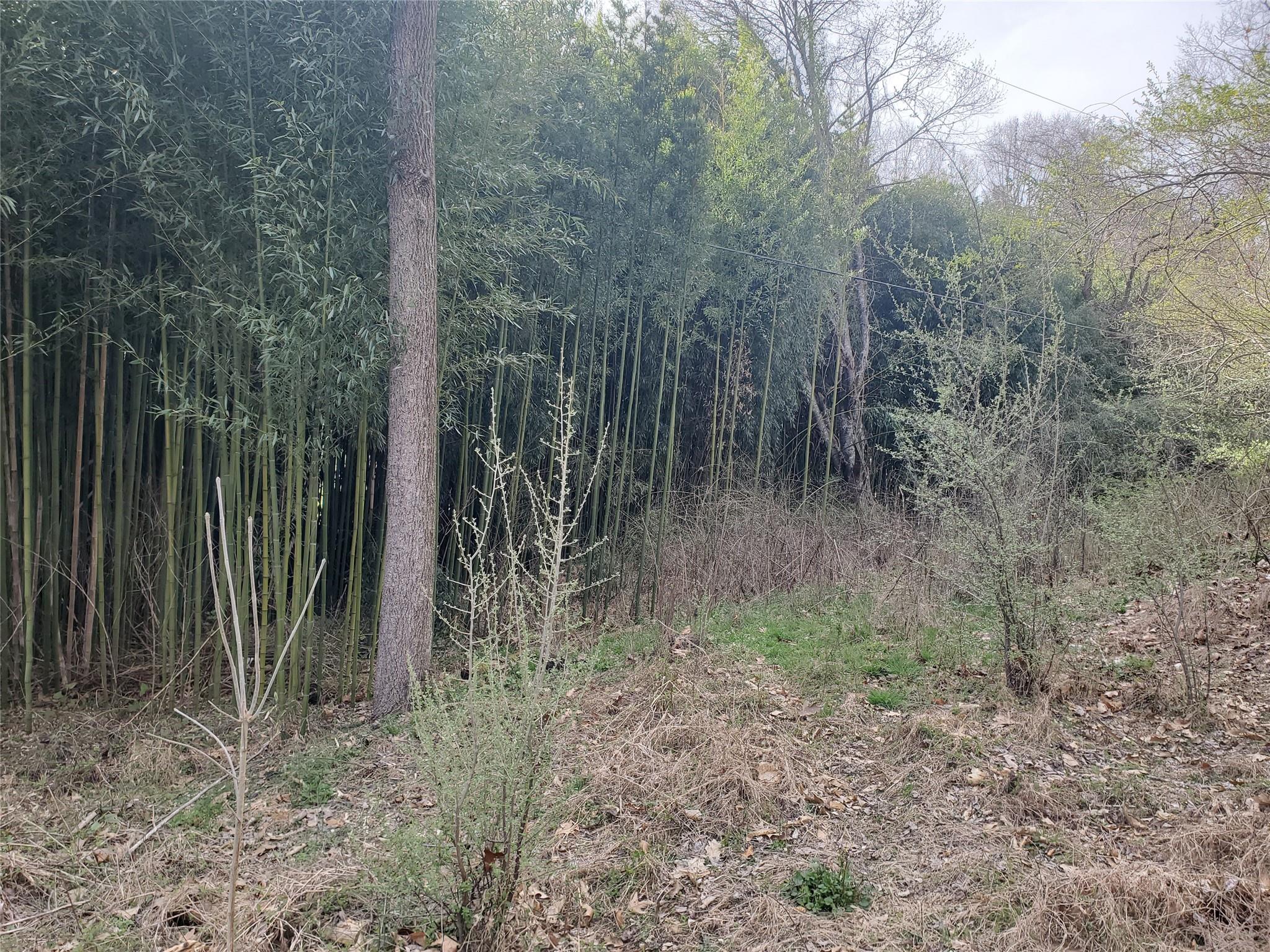 10 Streamview Lane Arden NC 28704