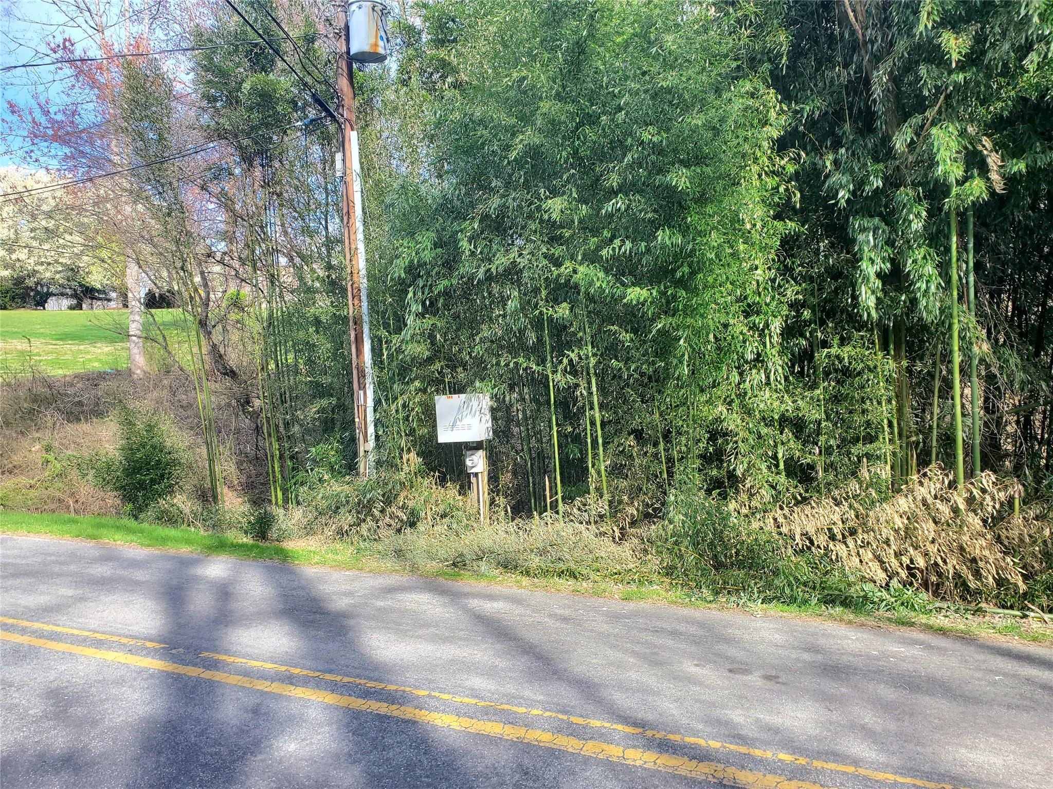 10 Streamview Lane Arden NC 28704