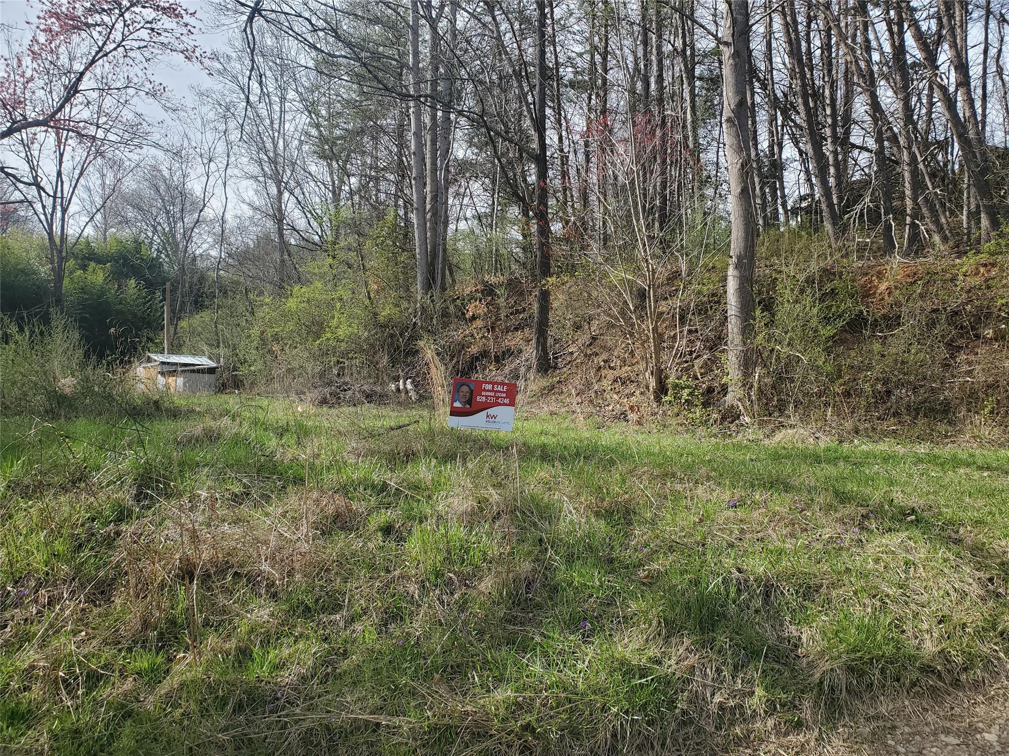 10 Streamview Lane Arden NC 28704