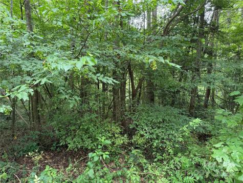 Lot 19 Zinzendorf Circle Moravian Falls NC 28654