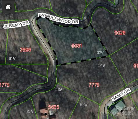 000 Brindlewood Drive Nebo NC 28761