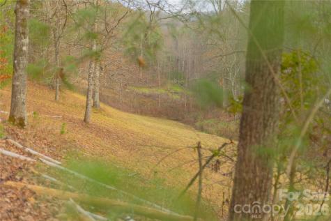 104 Robin Lane Bryson City NC 28713