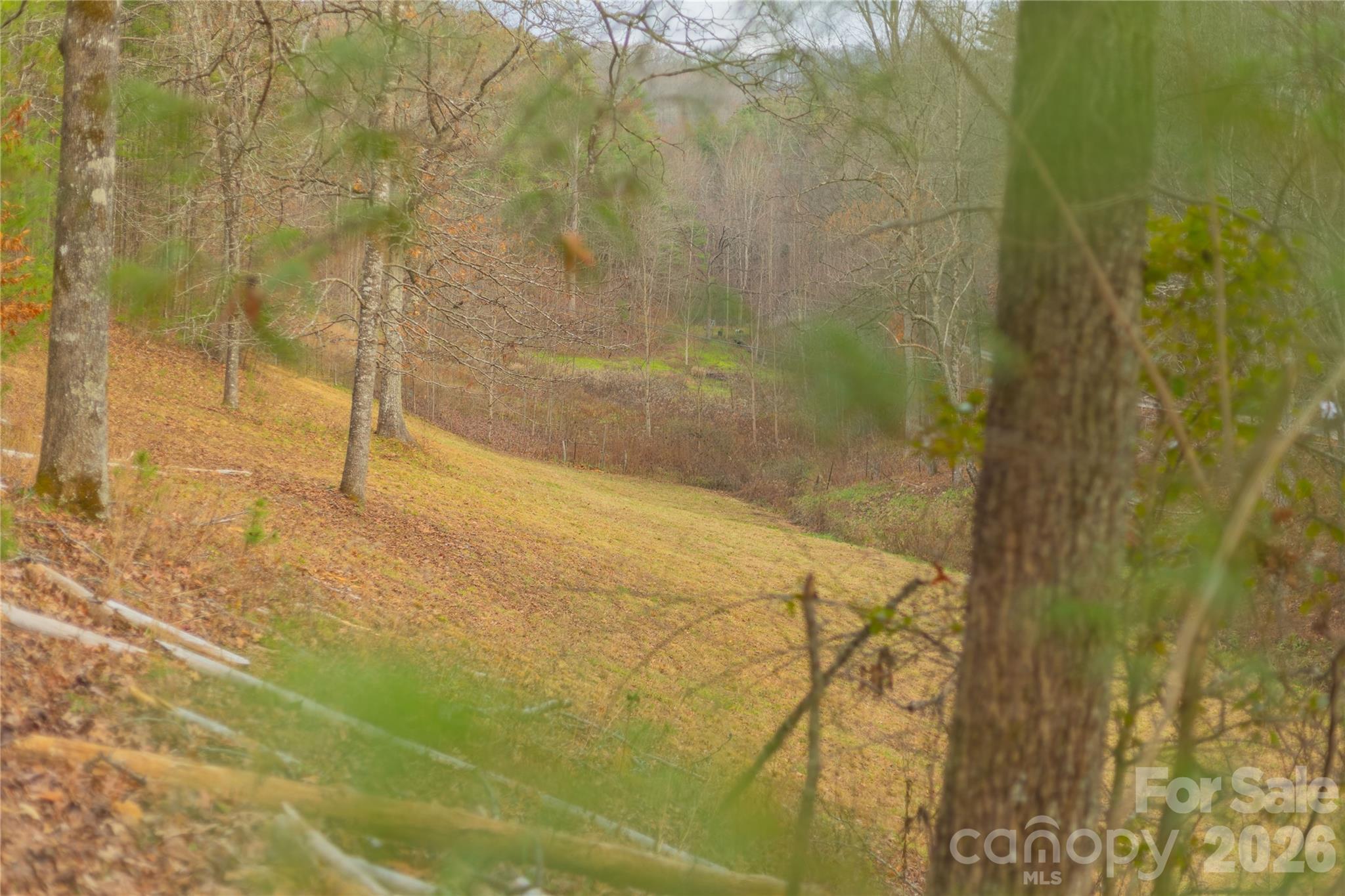 104 Robin Lane Bryson City NC 28713