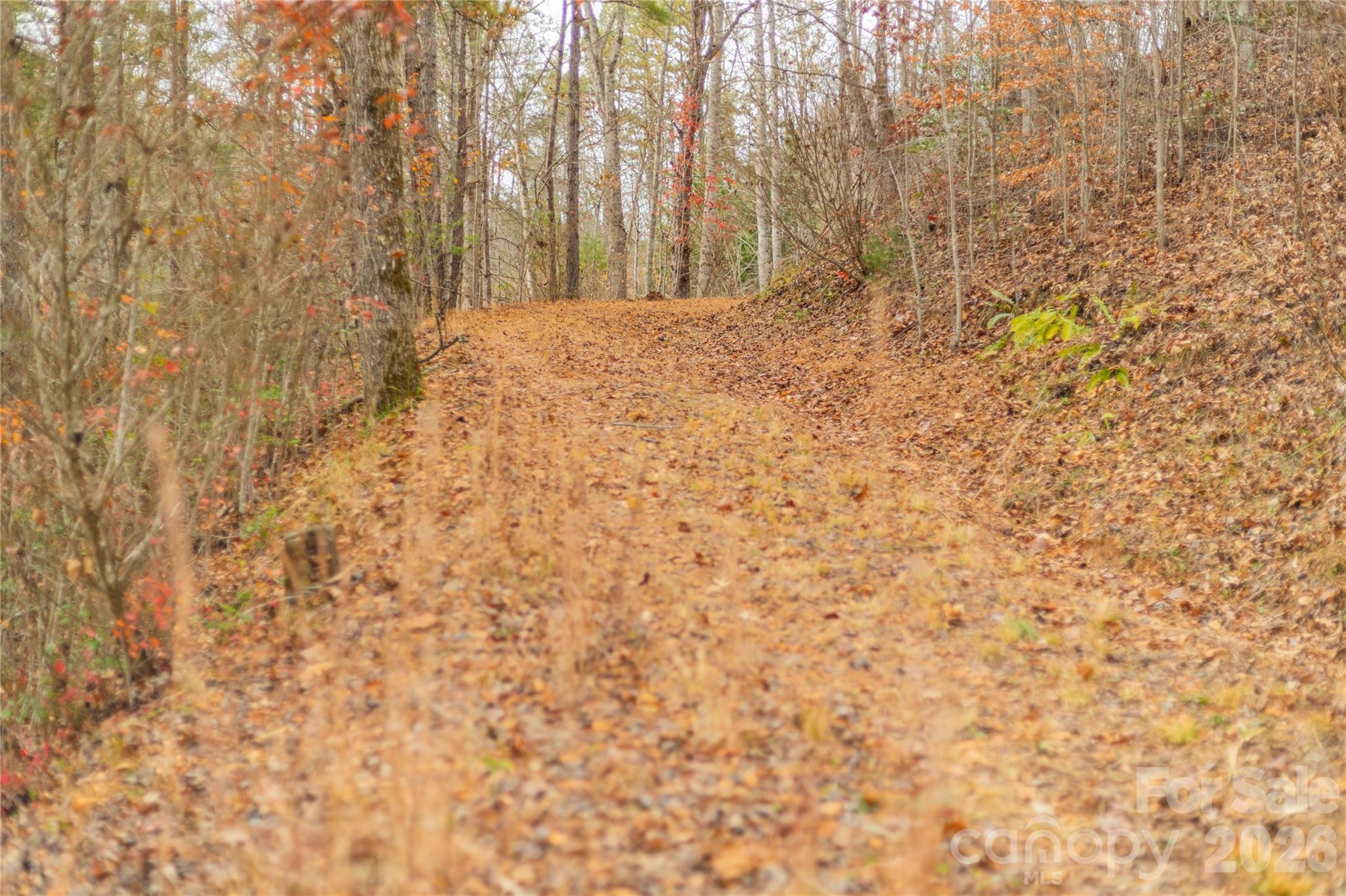 104 Robin Lane Bryson City NC 28713
