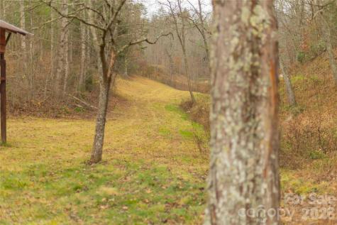 104 Robin Lane Bryson City NC 28713