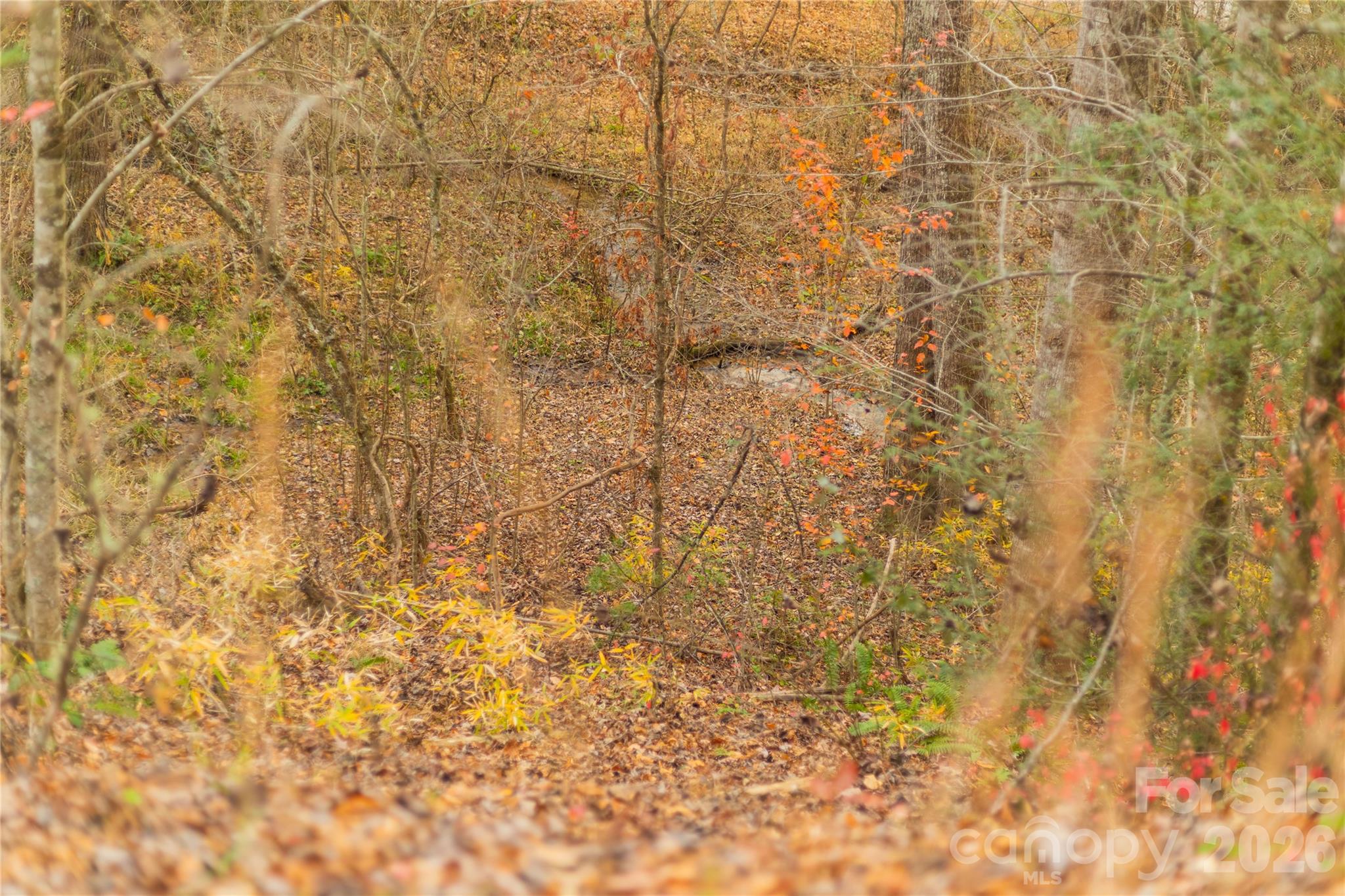 104 Robin Lane Bryson City NC 28713