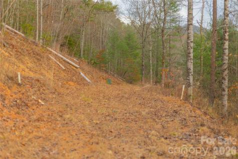 104 Robin Lane Bryson City NC 28713