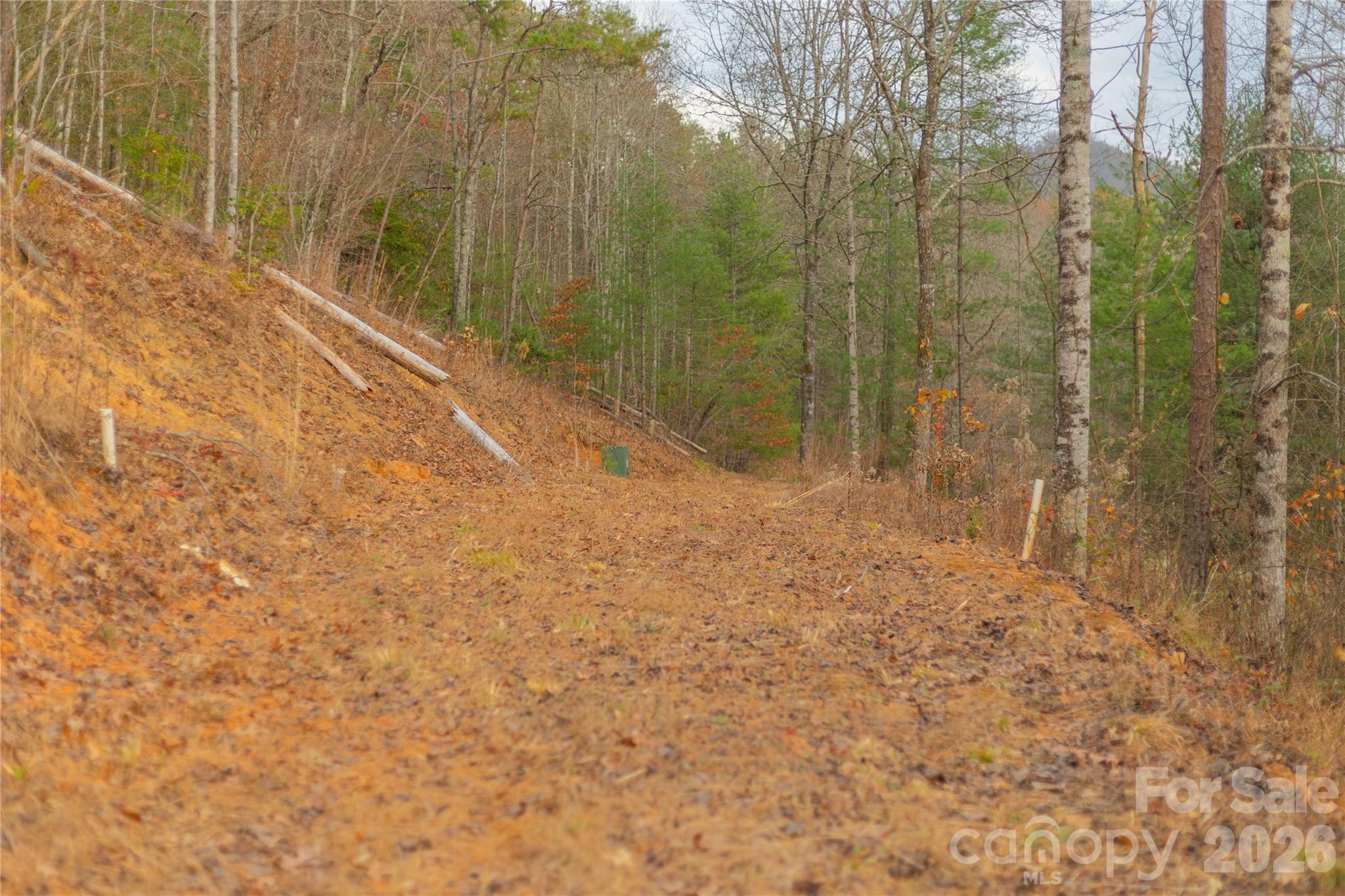 104 Robin Lane Bryson City NC 28713