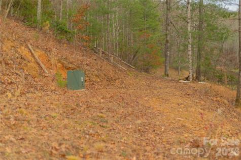 104 Robin Lane Bryson City NC 28713