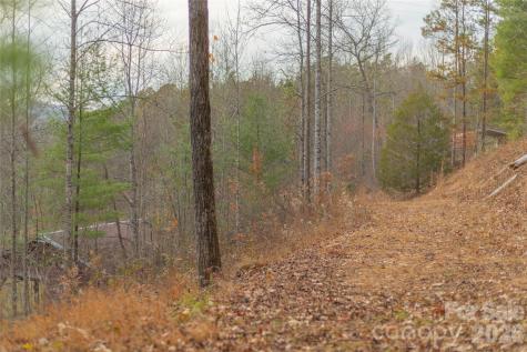 104 Robin Lane Bryson City NC 28713