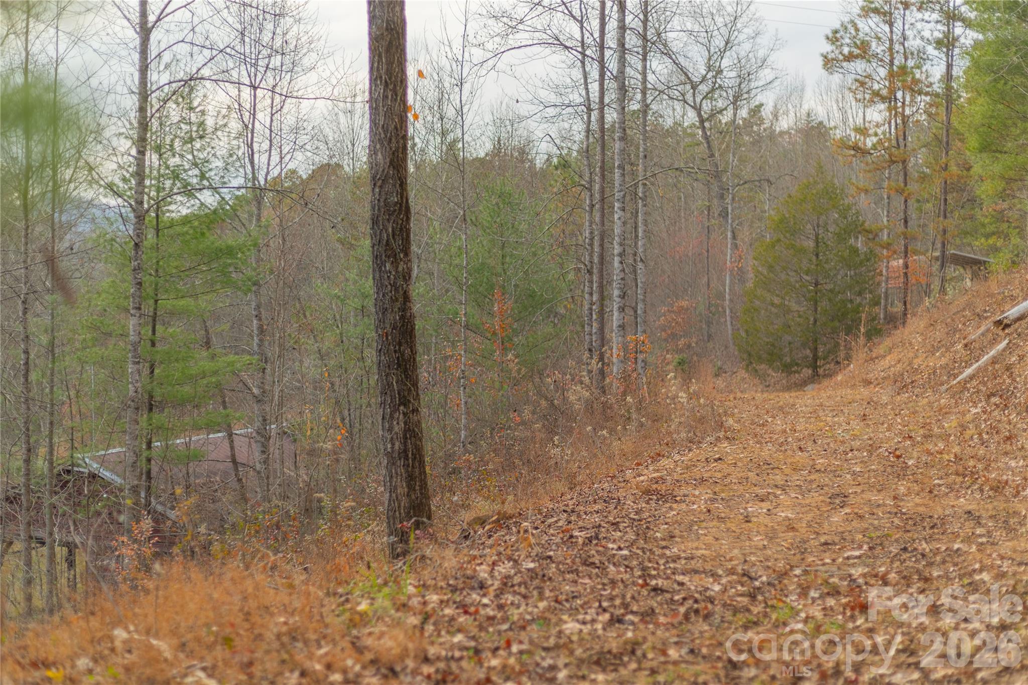 104 Robin Lane Bryson City NC 28713