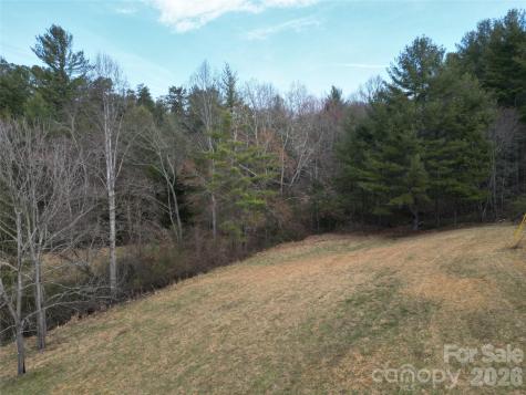 46 Pug Run Weaverville NC 28787