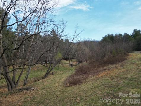 46 Pug Run Weaverville NC 28787