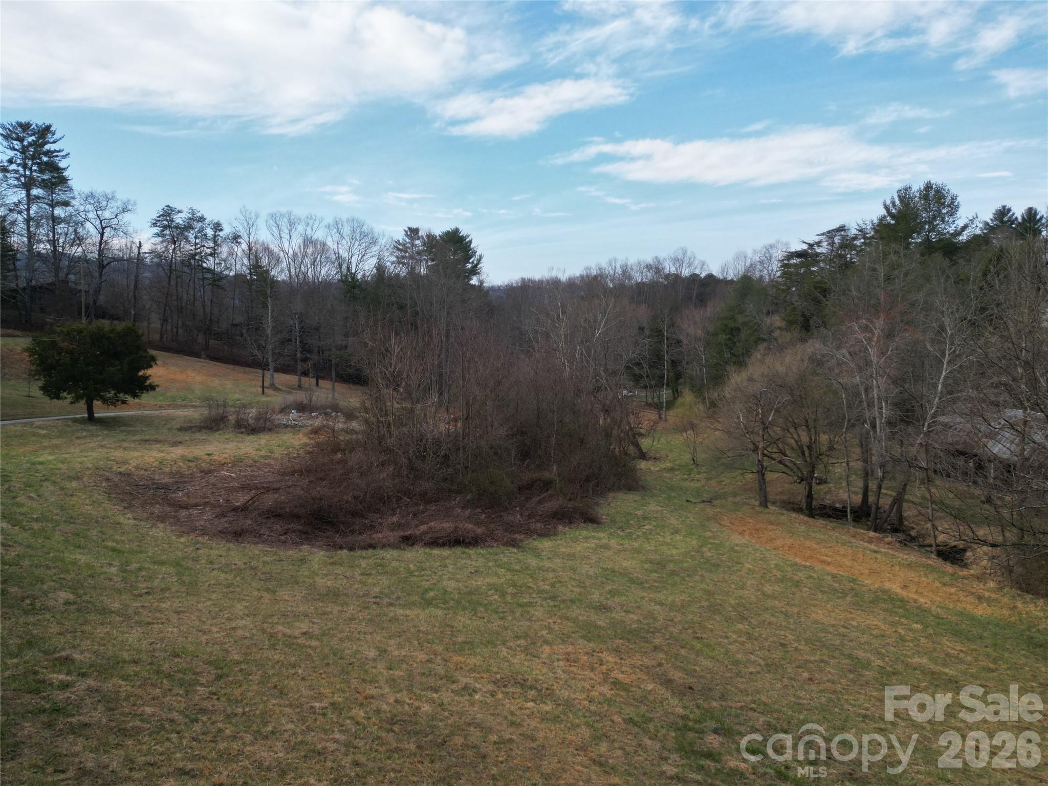 46 Pug Run Weaverville NC 28787