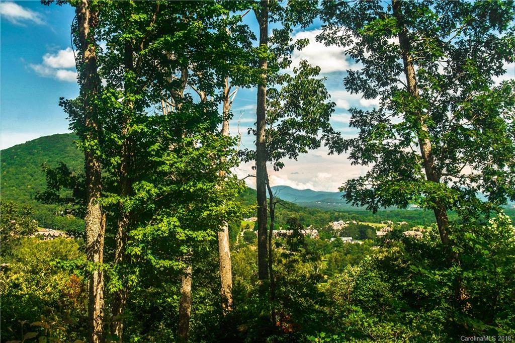 2019 Grand Vista Court Arden NC 28704