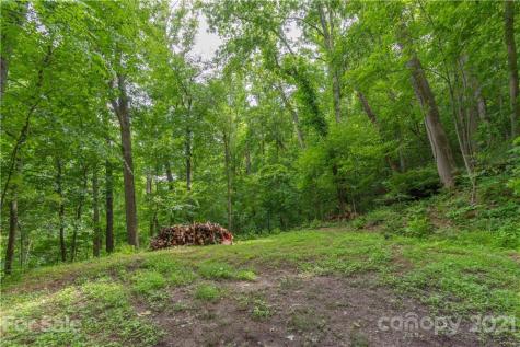 9999 Ridgehaven Drive Asheville NC 28804