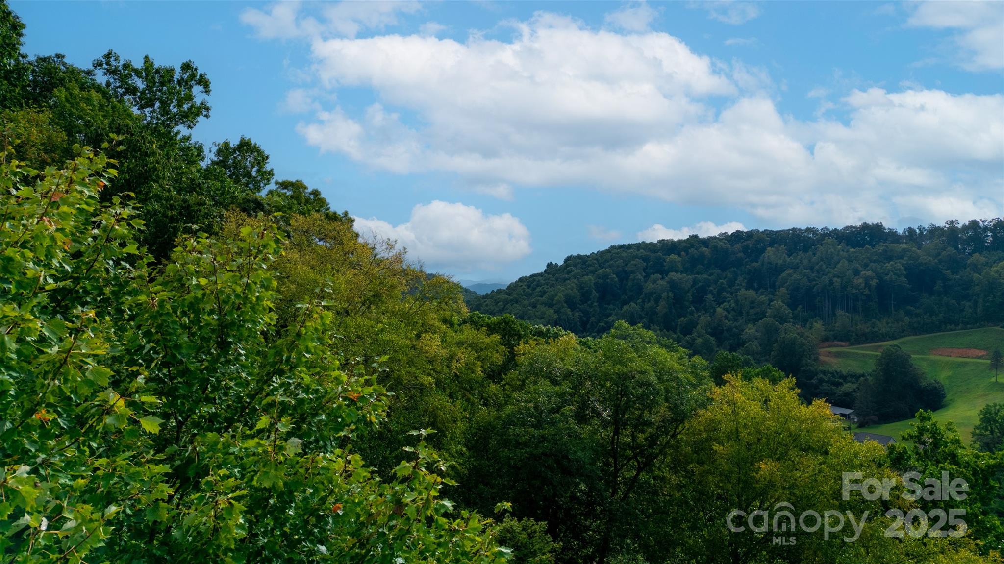 0000 Cabin Flats Road Balsam NC 28707