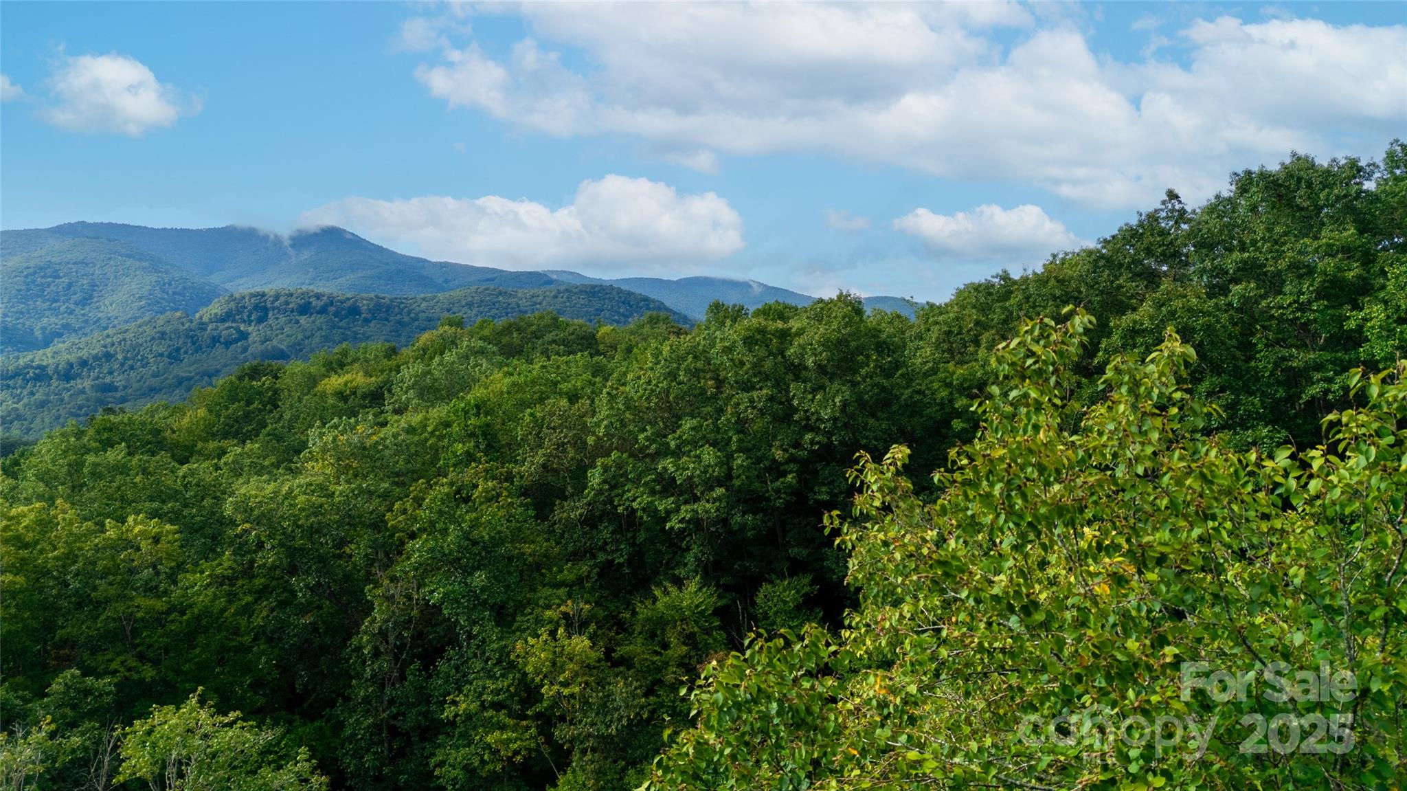 0000 Cabin Flats Road Balsam NC 28707