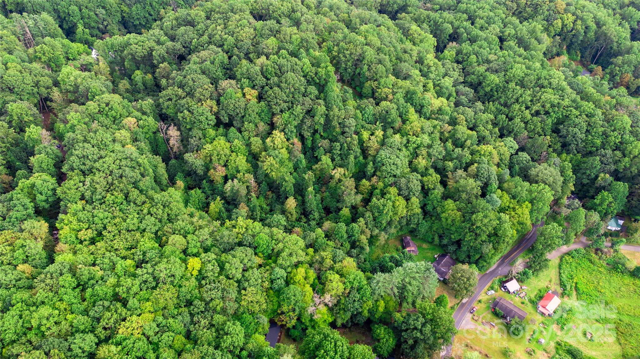 0000 Cabin Flats Road Balsam NC 28707