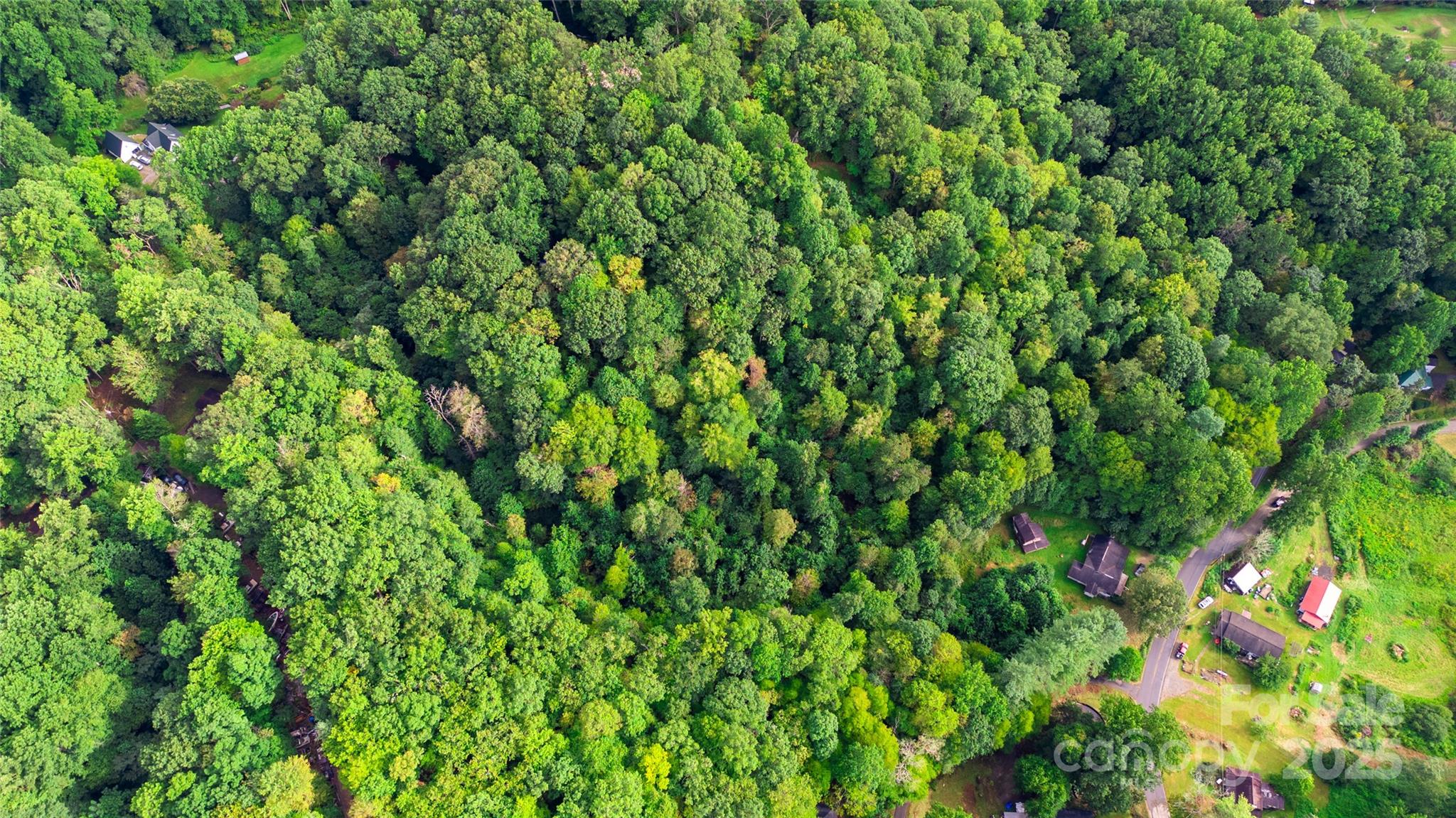 0000 Cabin Flats Road Balsam NC 28707