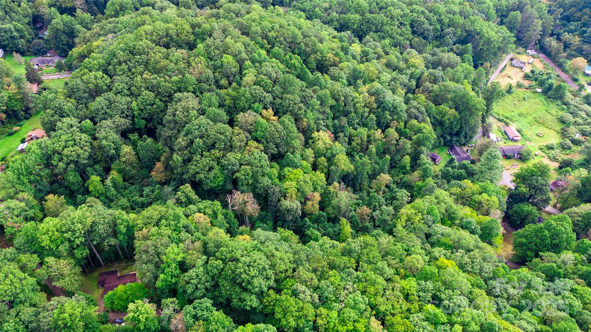 0000 Cabin Flats Road Balsam NC 28707