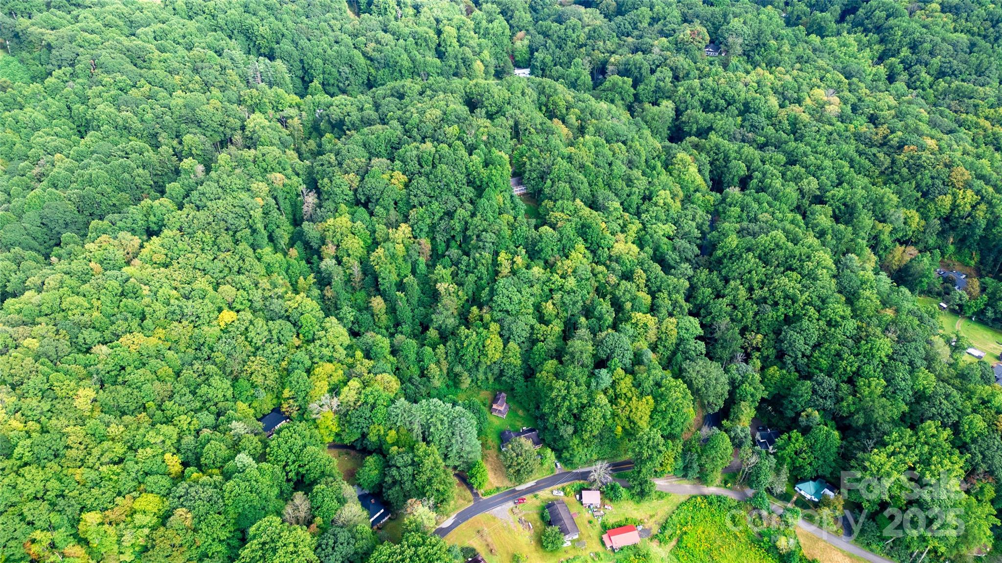 0000 Cabin Flats Road Balsam NC 28707